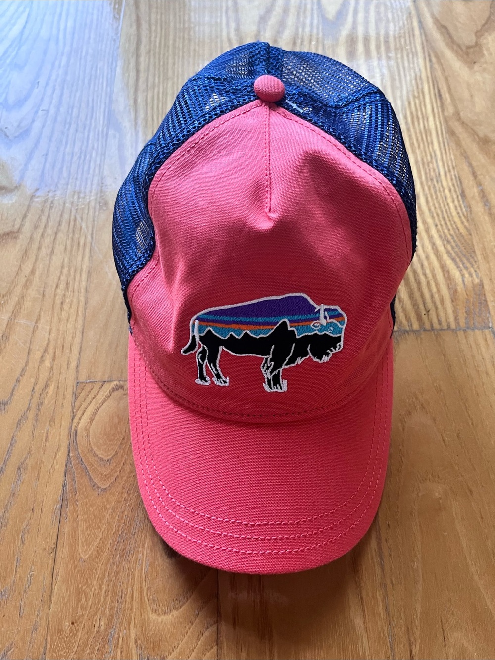 Patagonia Tucker hat